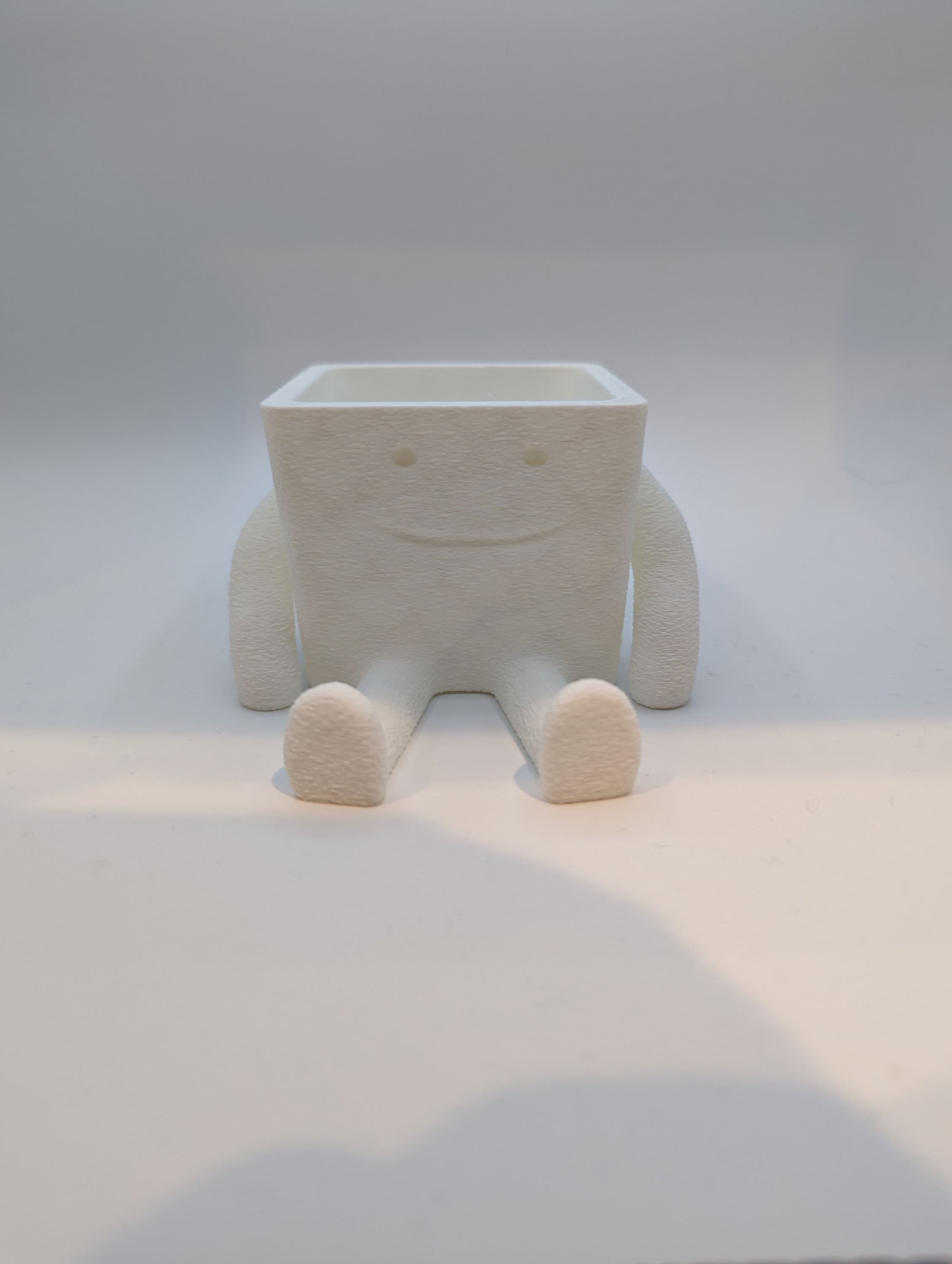 Happy Succulent Planter Pot