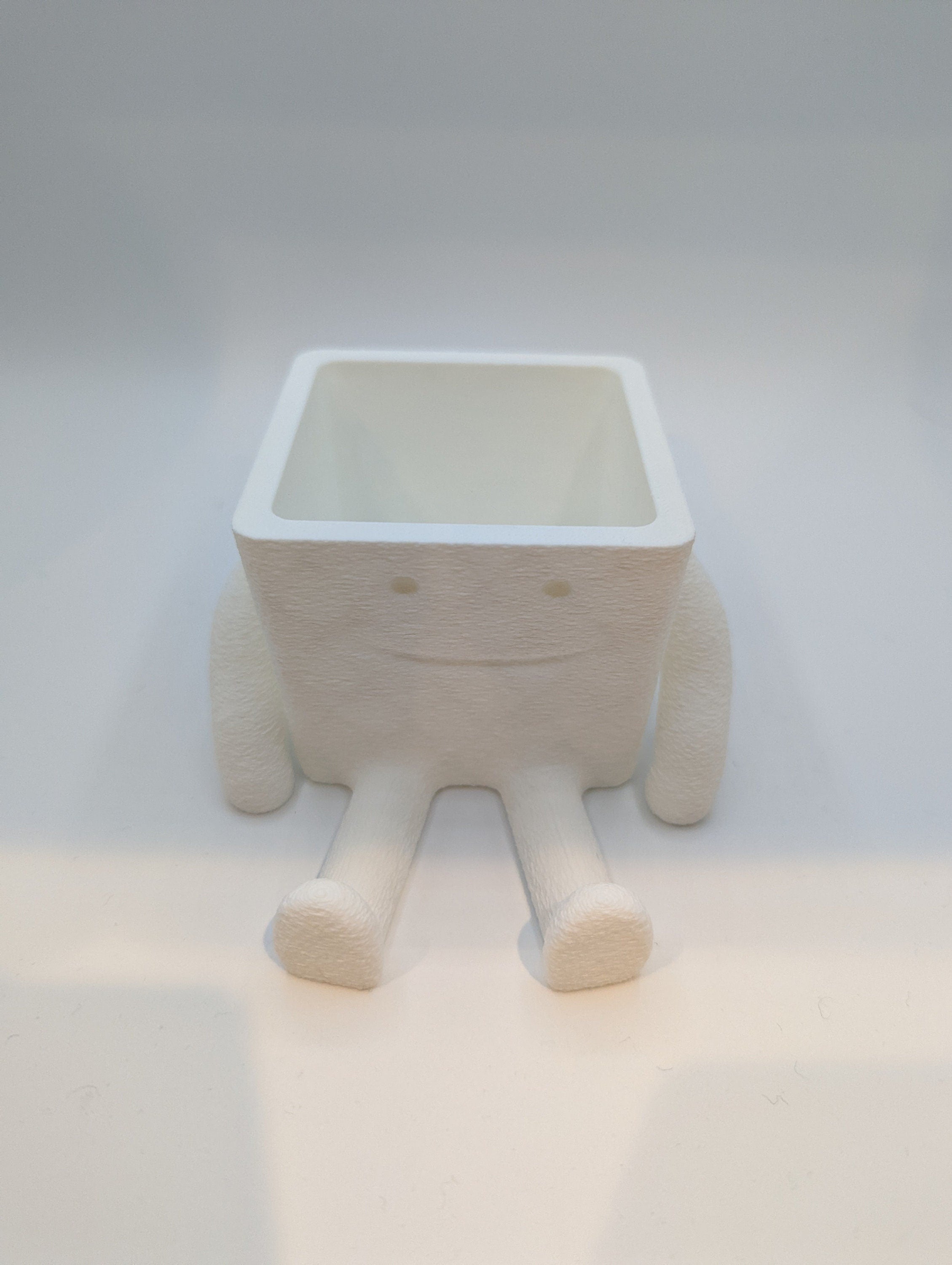 Happy Succulent Planter Pot