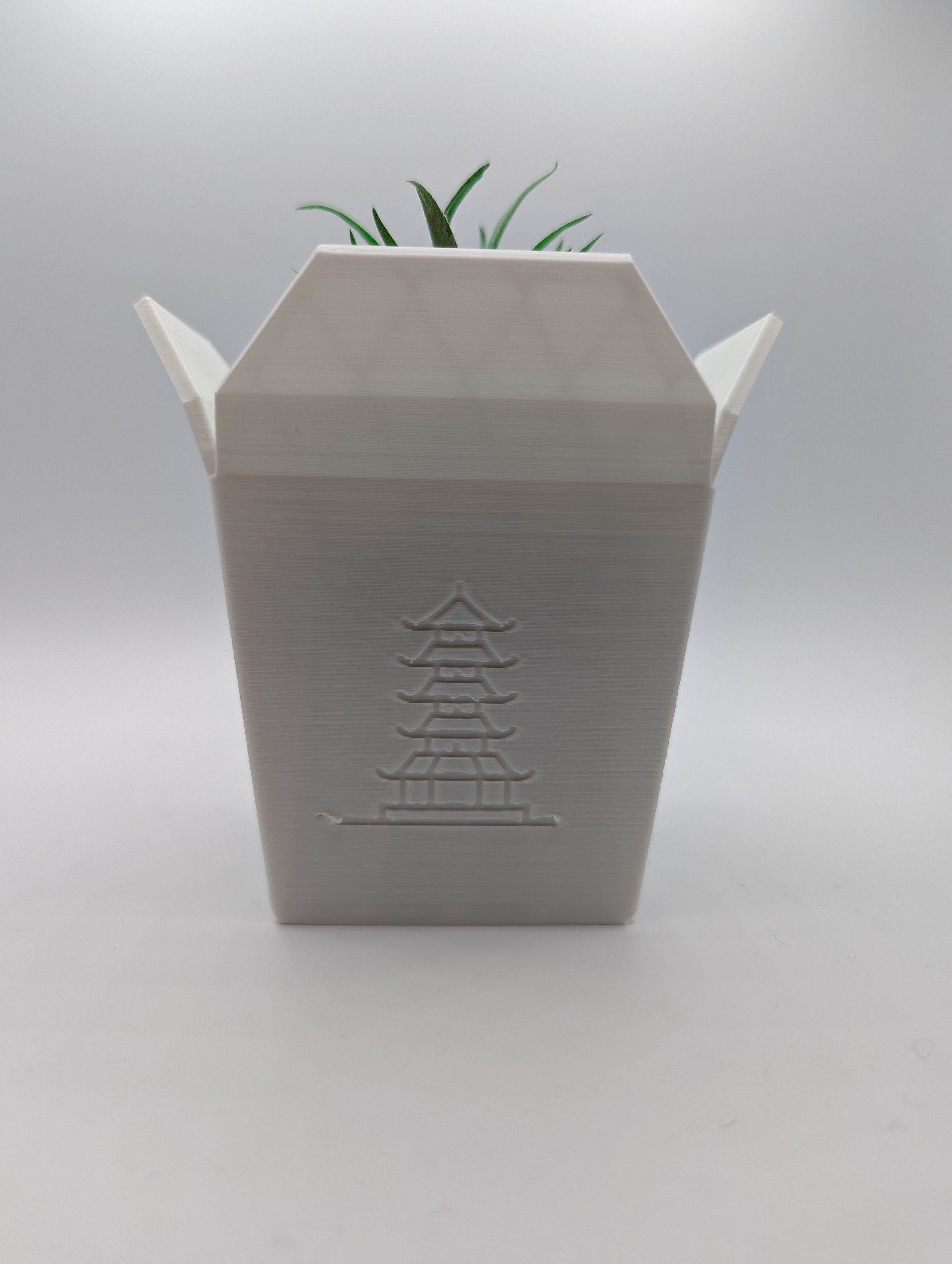 Chinese Take-Out Planter