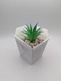 Chinese Take-Out Planter