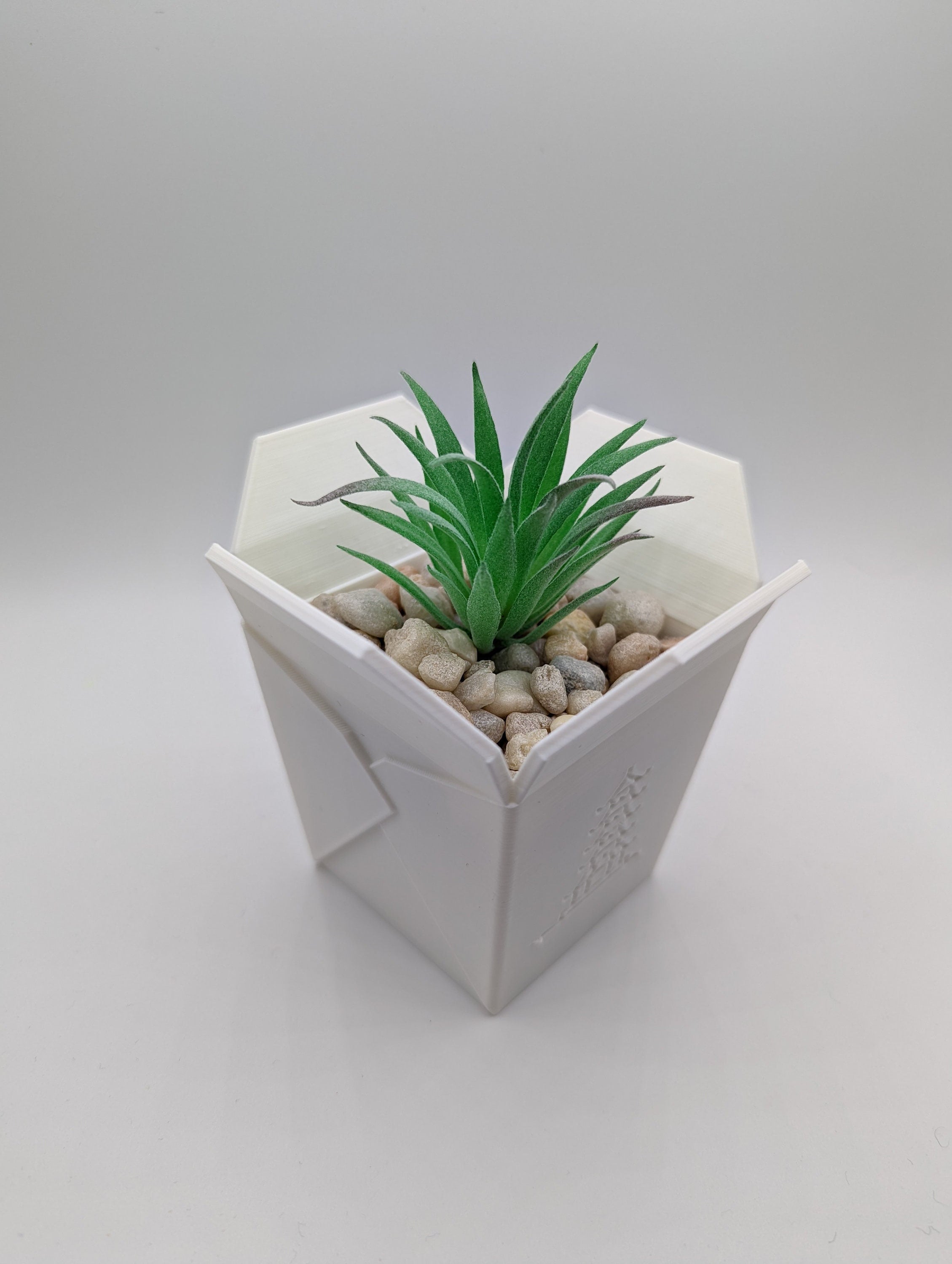Chinese Take-Out Planter