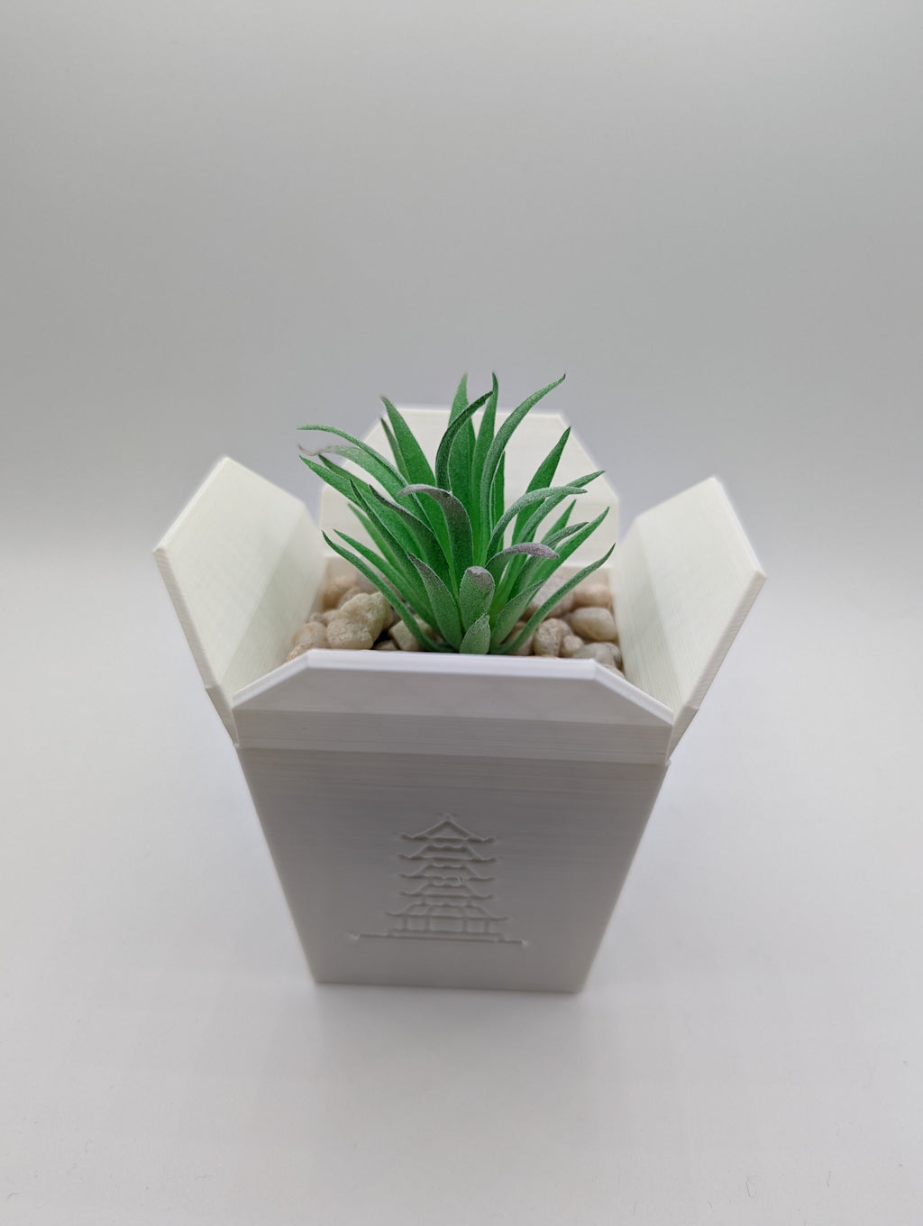 Chinese Take-Out Planter