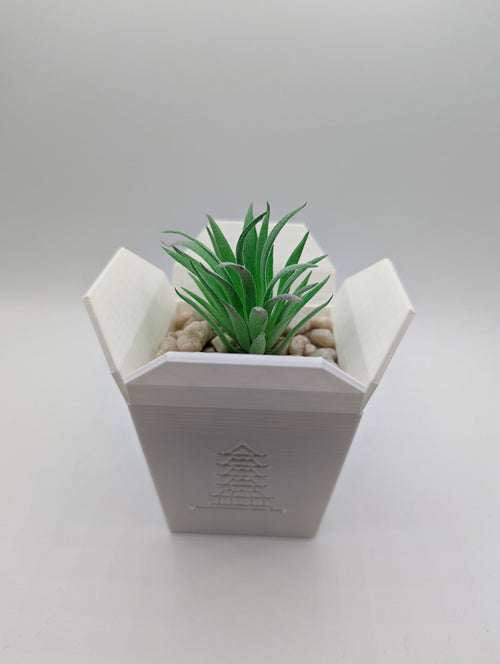 Chinese Take-Out Planter