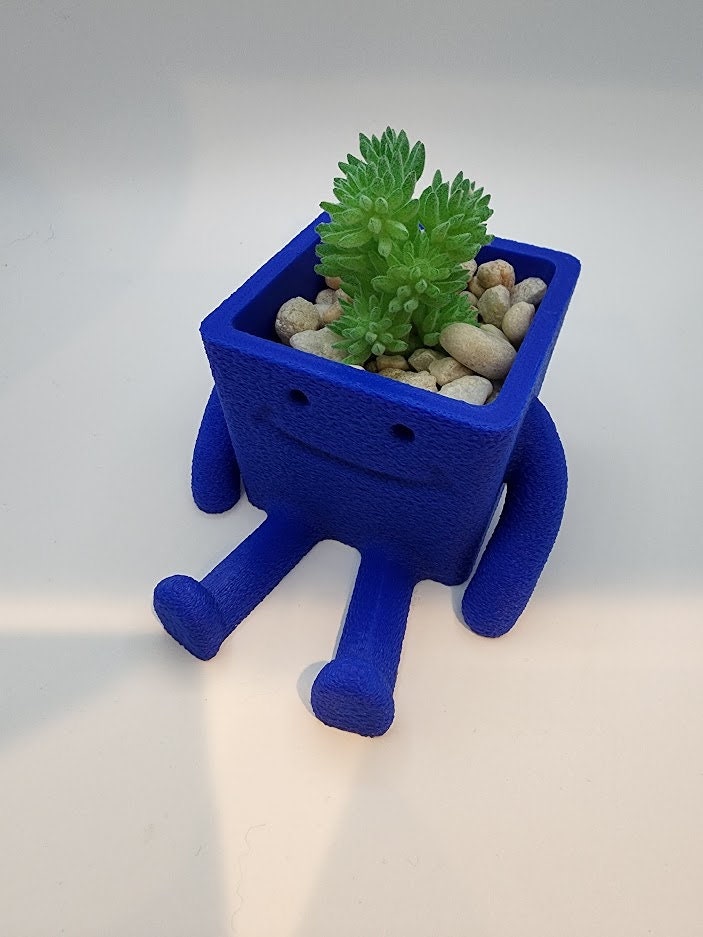 Happy Succulent Planter Pot