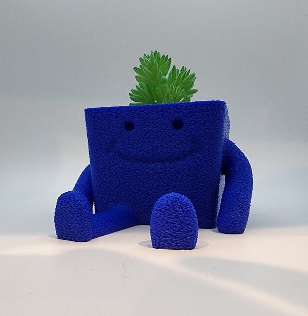 Happy Succulent Planter Pot