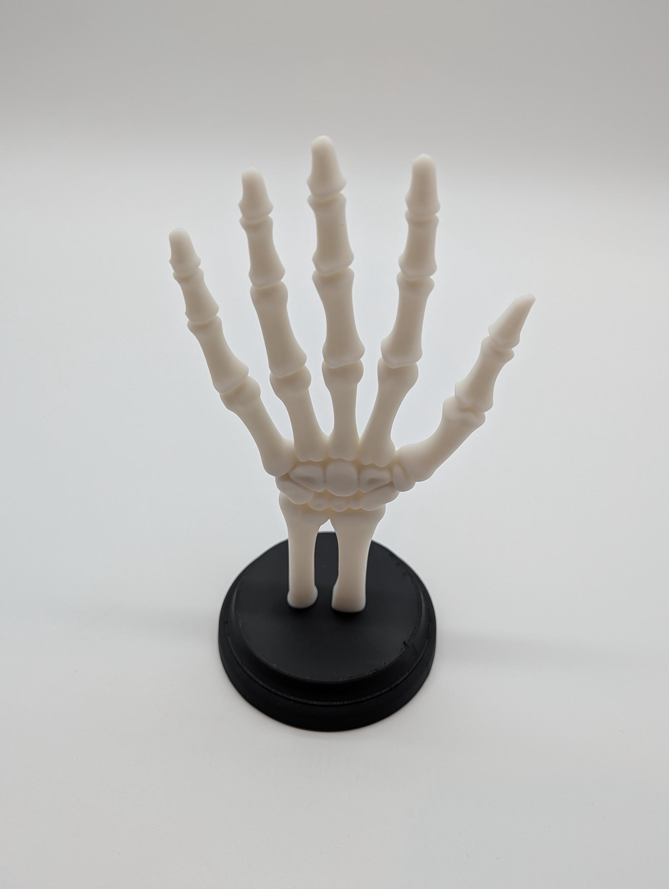 Skeleton Hand Jewelry Holder – Gothic Display Stand