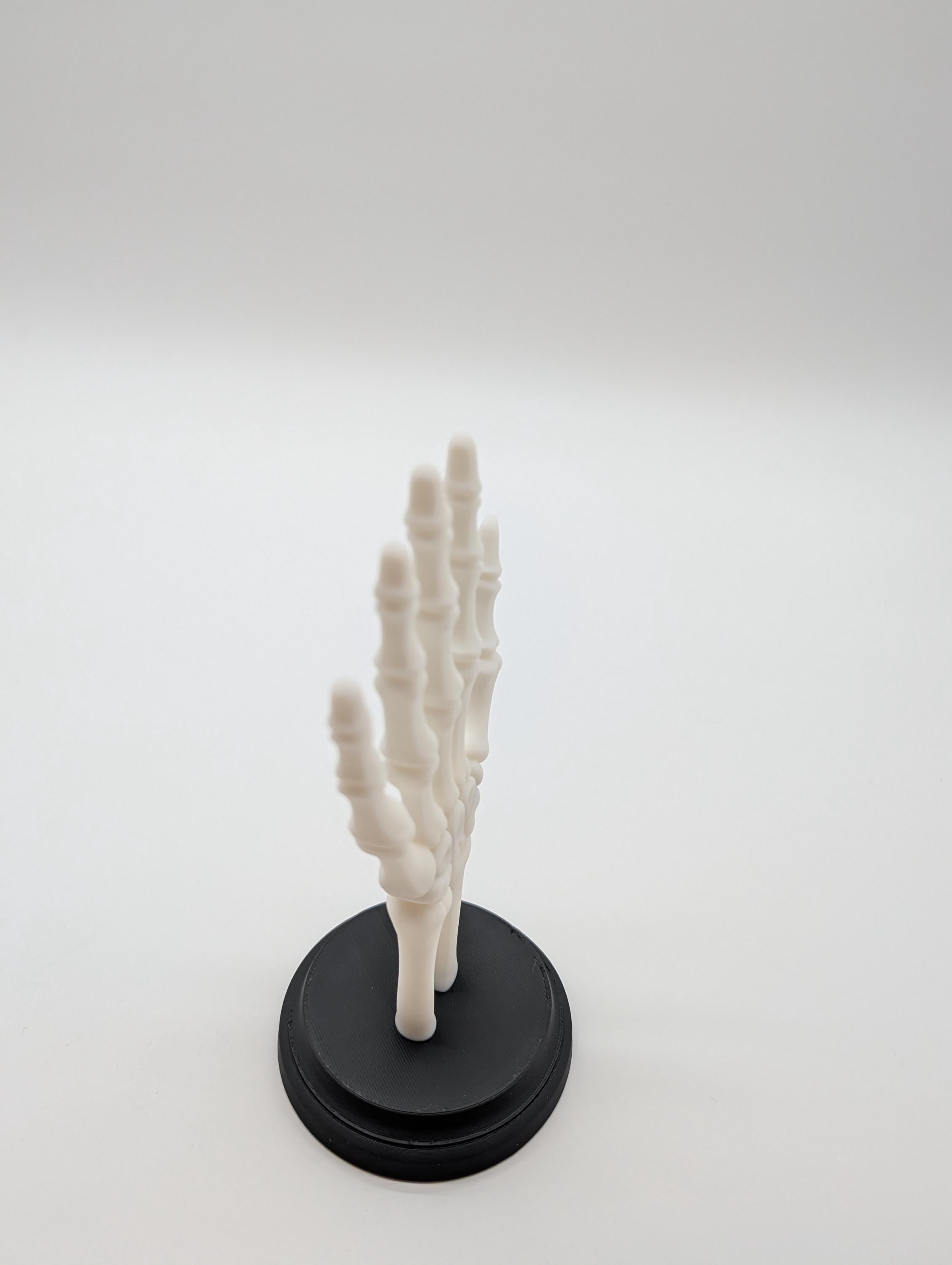 Skeleton Hand Jewelry Holder – Gothic Display Stand