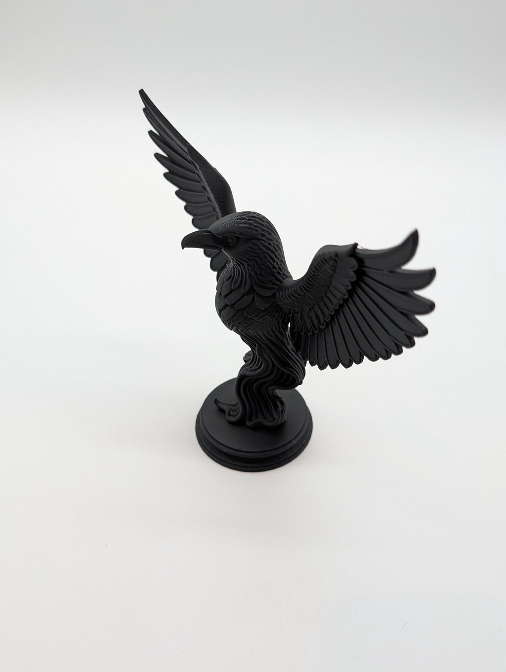 Raven Gothic Home Decor