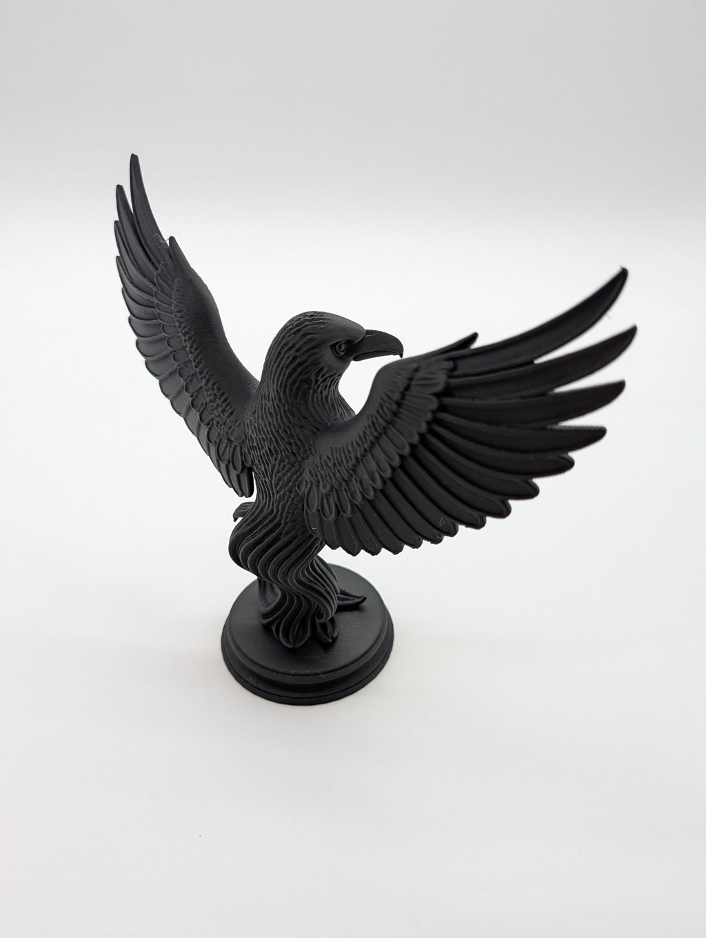 Raven Gothic Home Decor