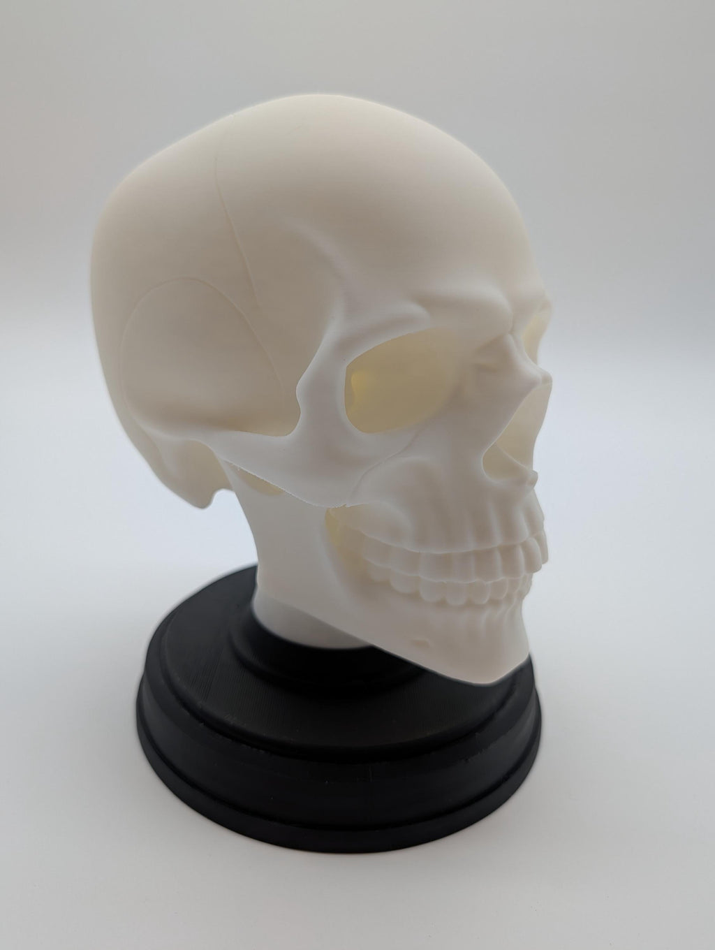 Gothic Human Skeleton with Stand