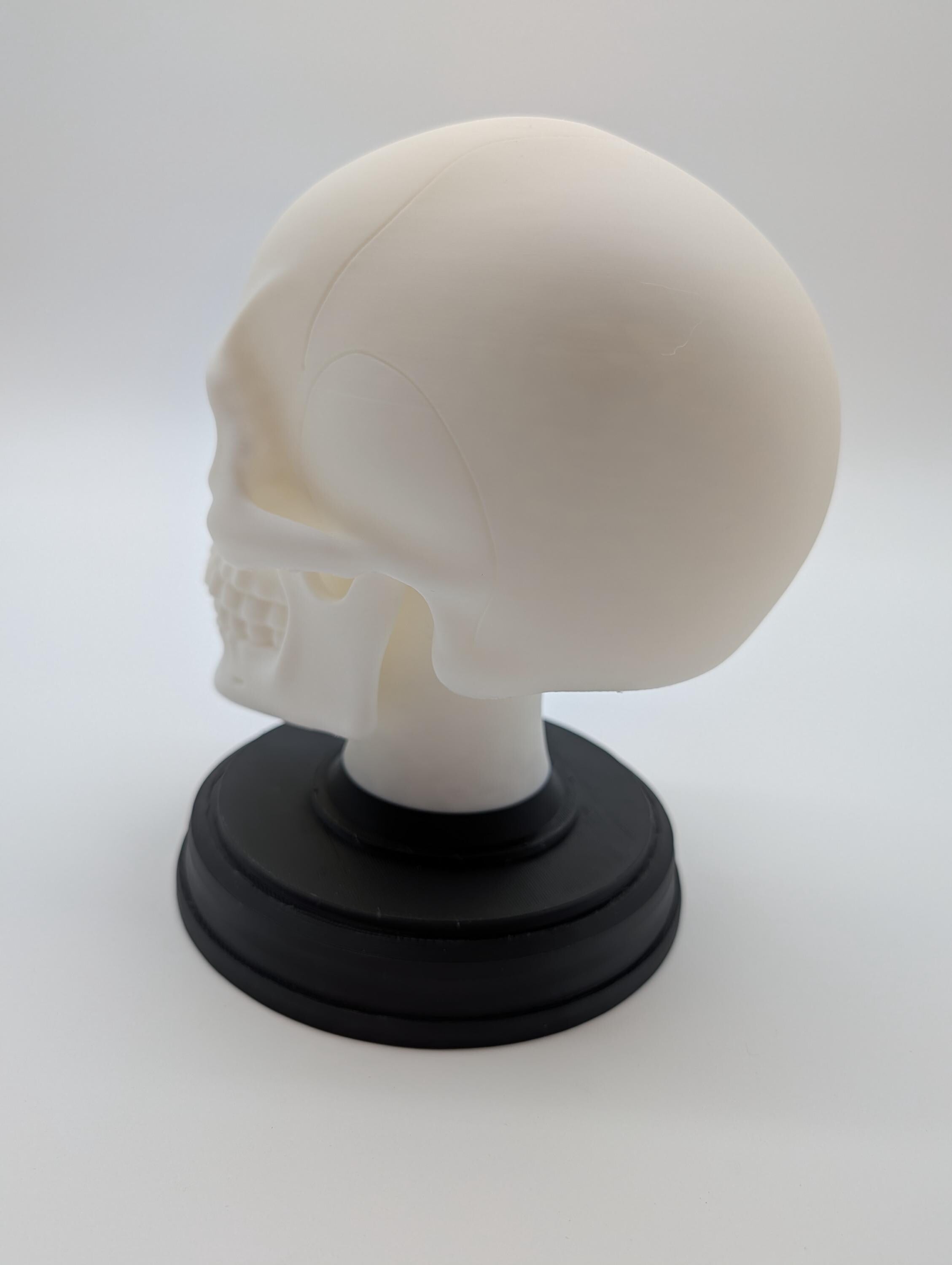 Gothic Human Skeleton with Stand