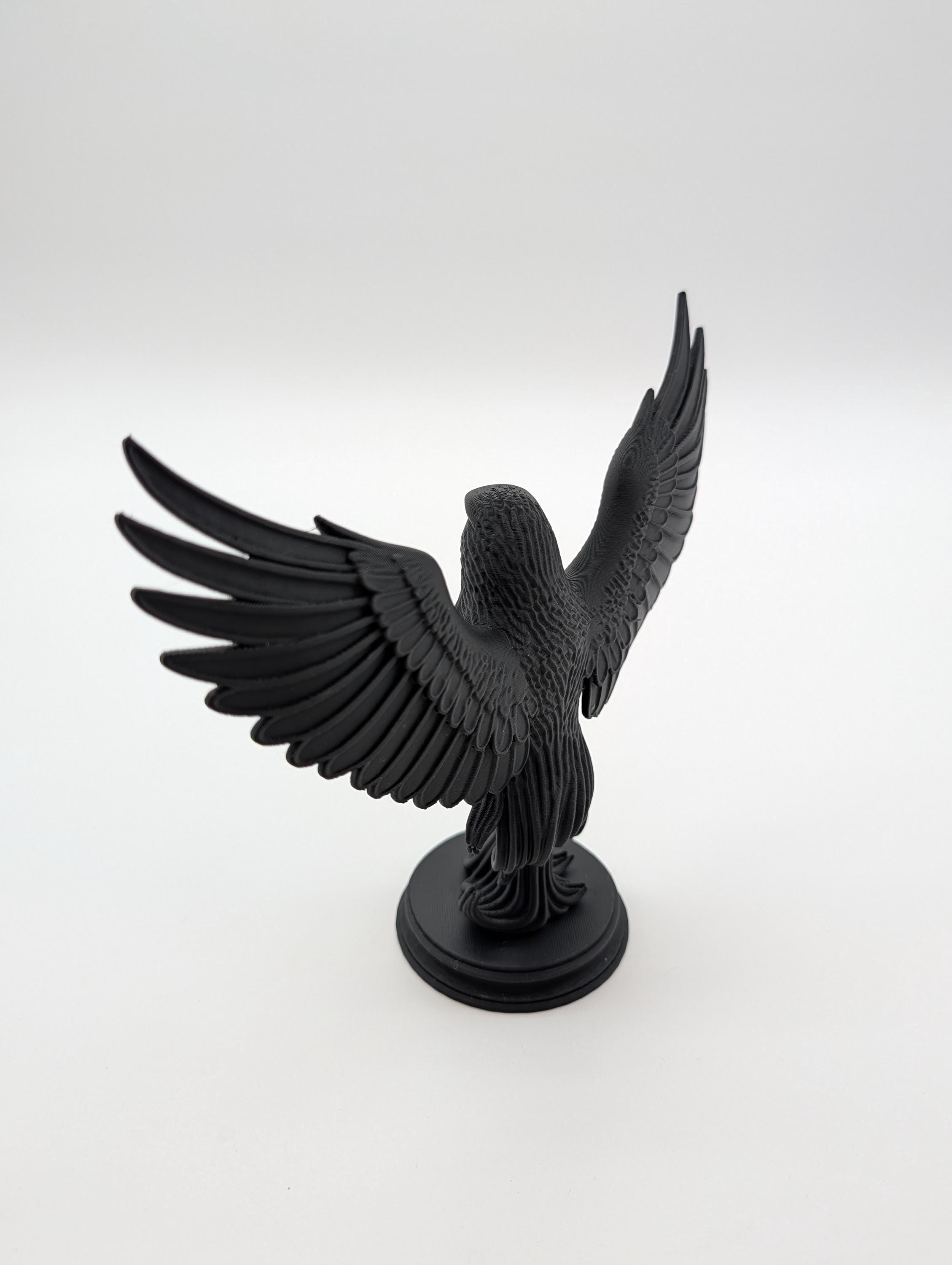 Raven Gothic Home Decor