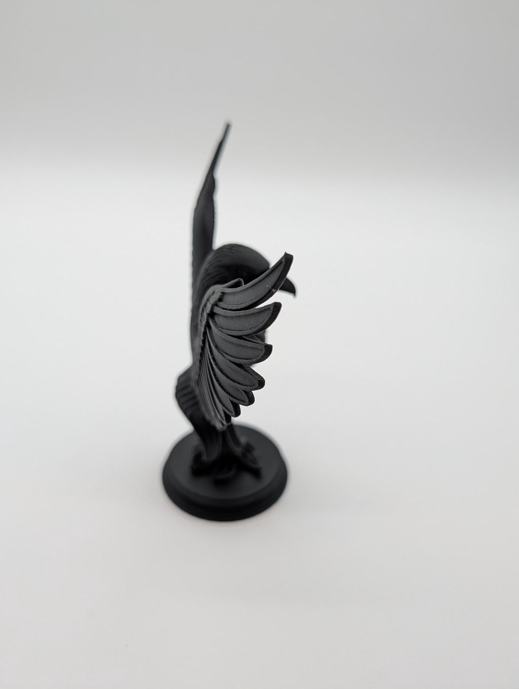 Raven Gothic Home Decor