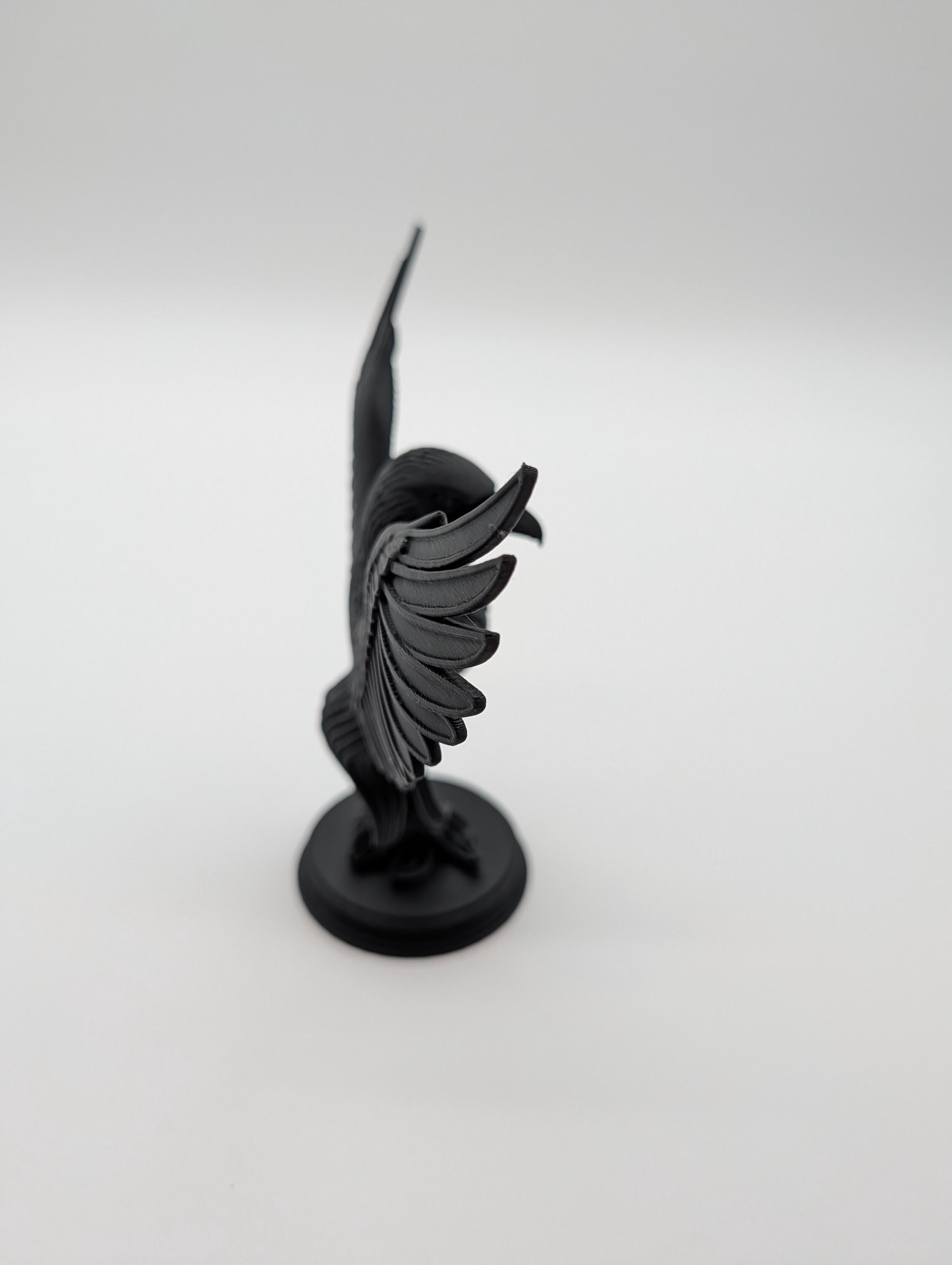 Raven Gothic Home Decor