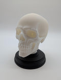 Gothic Human Skeleton with Stand