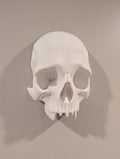 Skull Wall Décor with Hidden Storage Nook - Gothic Secret Compartment Art