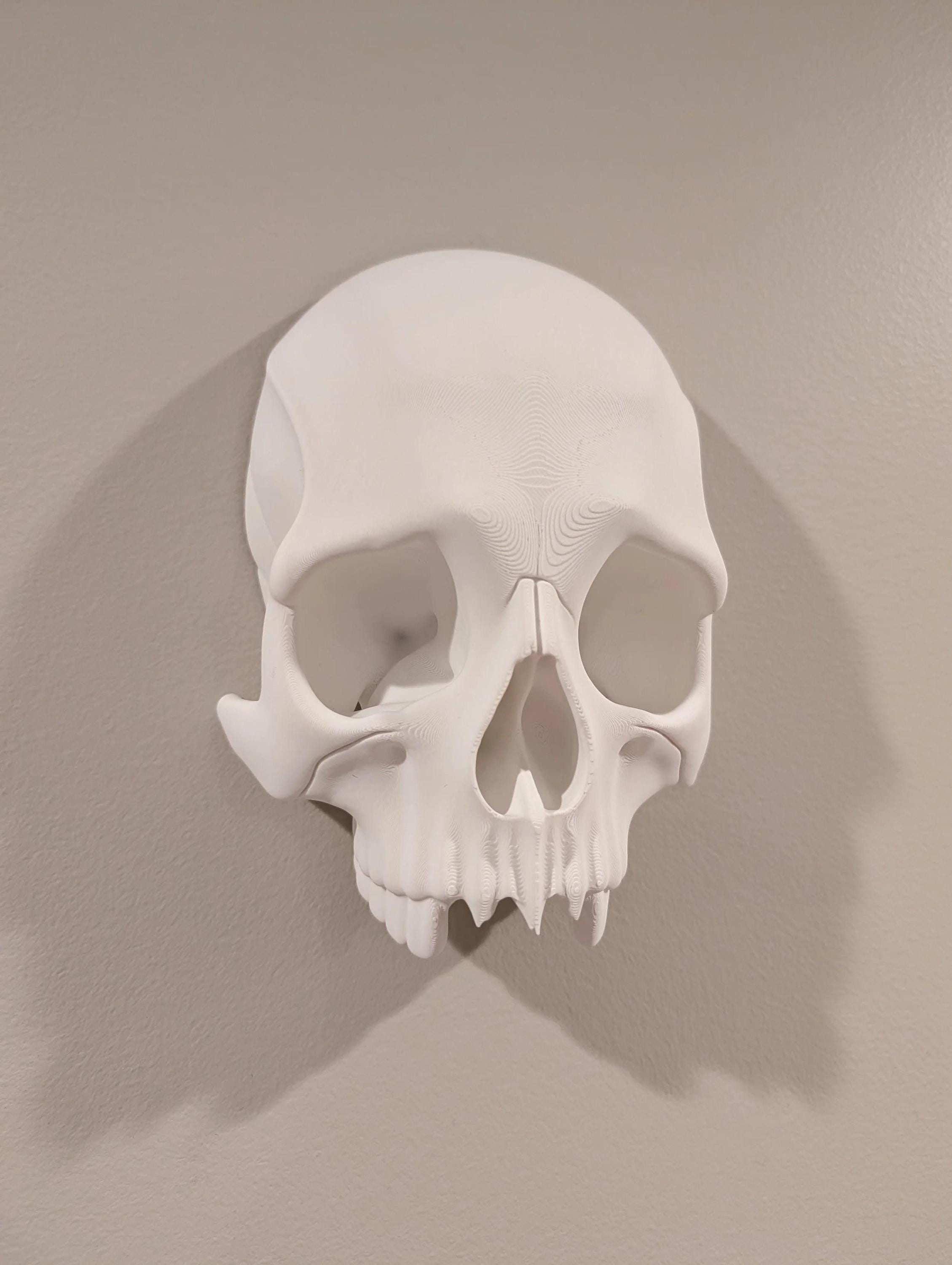 Skull Wall Décor with Hidden Storage Nook - Gothic Secret Compartment Art